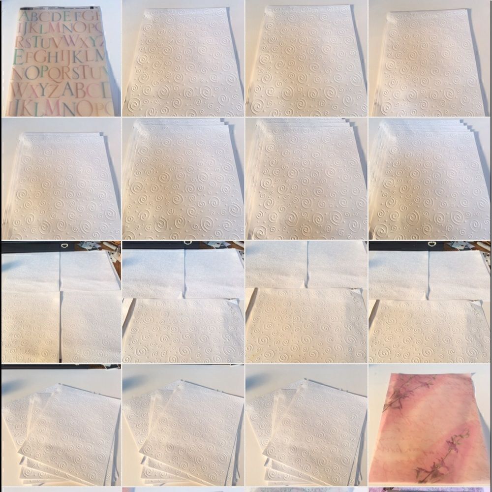 GORGEOUS HAND Selected Set of Scrapbook Paper! - Picture 3 of 12